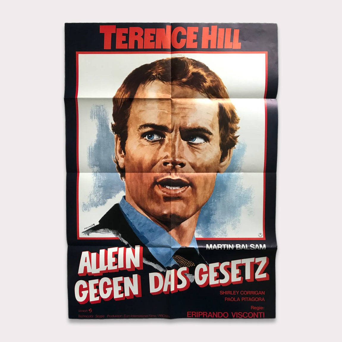 Allein gegen das Gesetz | DIN A1 Filmplakat