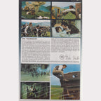 Der Teufelskerl (VHS - DE)