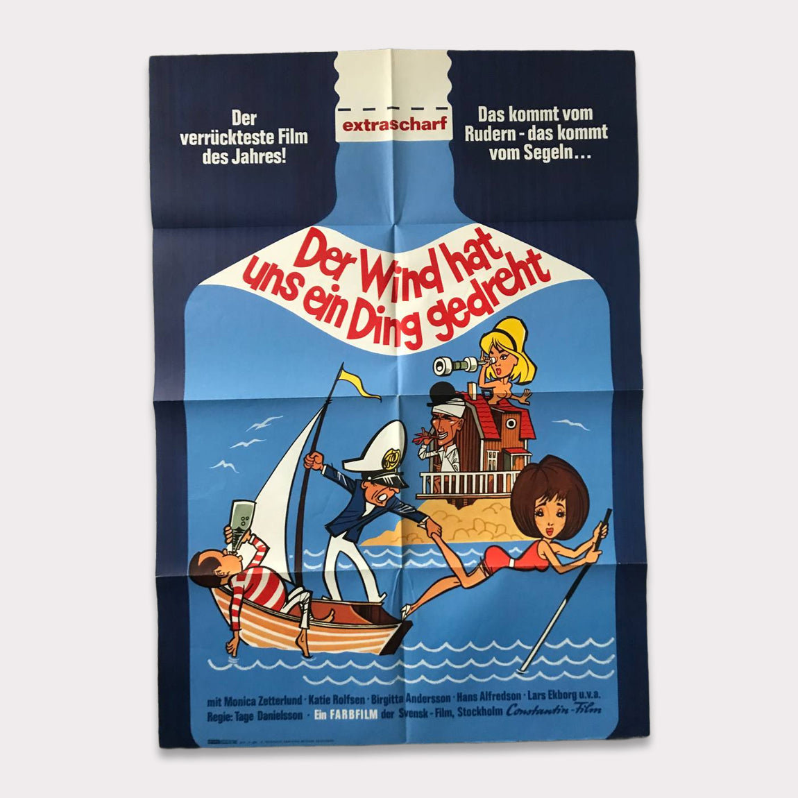 Der Wind hat uns ein Ding gedreht | DIN A1 Filmplakat