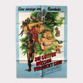 Die Götter müssen verrückt sein | DIN A1 Filmplakat