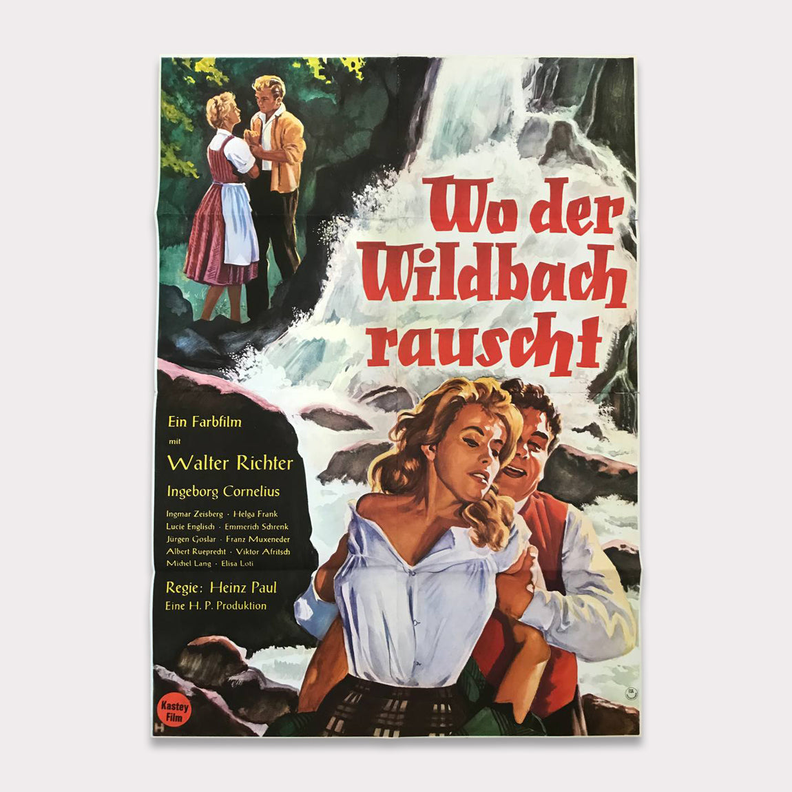 Wo der Wildbach rauscht | DIN A1 Filmplakat